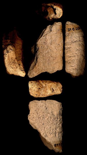 29-15-668