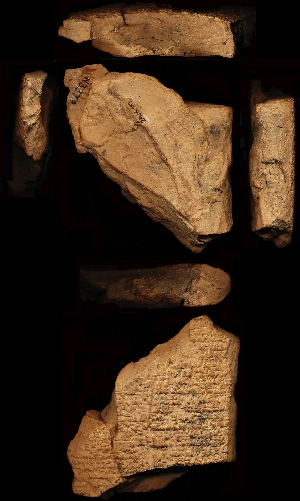 29-16-433