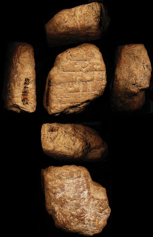 29-16-479