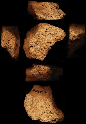 29-16-484