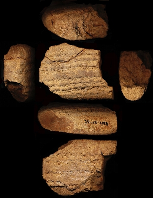 29-16-498