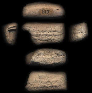 CBS817