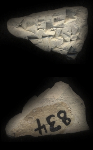 CBS834