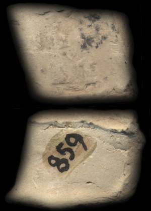 CBS859