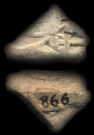 CBS866