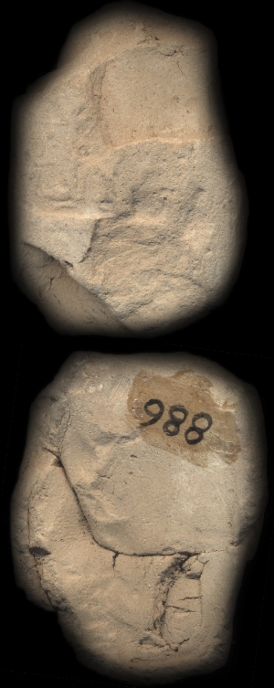 CBS886
