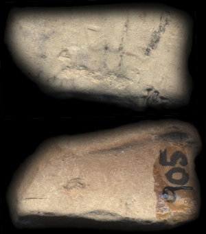 CBS905