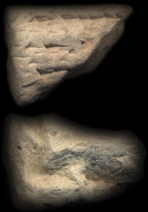 CBS930