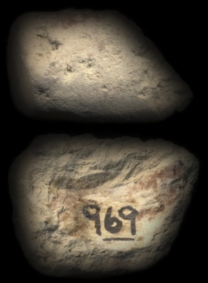 CBS969