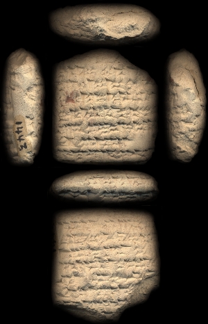 CBS1443