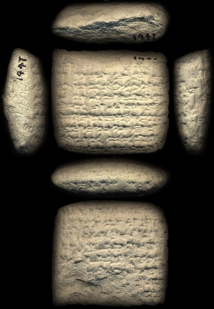 CBS1447