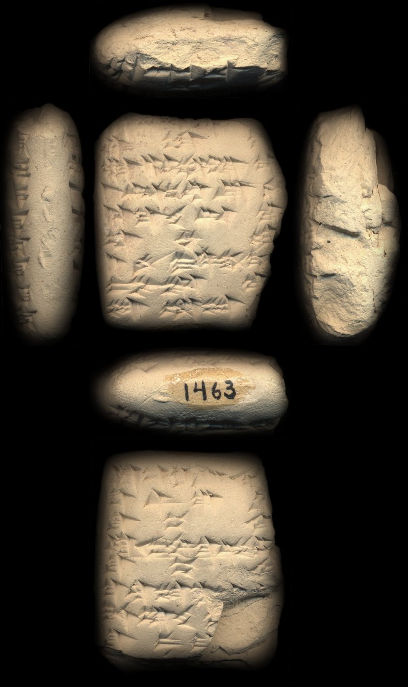 780306