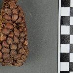 780794
