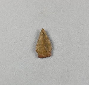 55-7-36