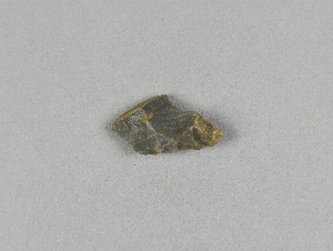 29-113-218.26