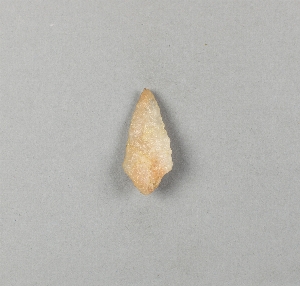 29-113-106