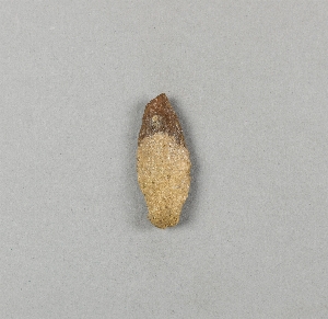 29-113-110