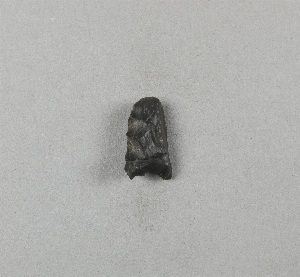29-113-200