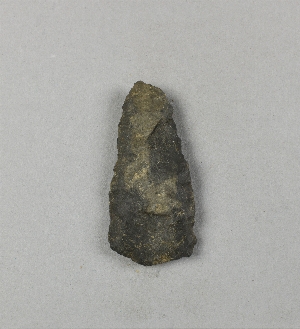 29-113-259