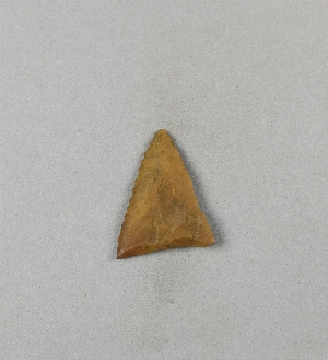 29-113-261
