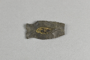 97-563-1602