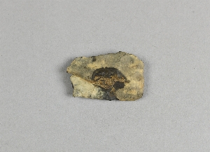 97-563-1613