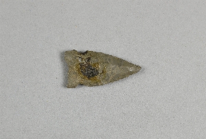 97-563-1650