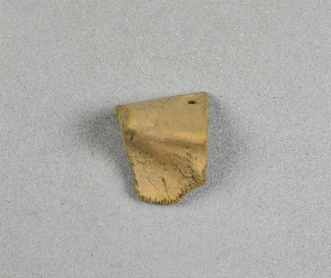NA7754