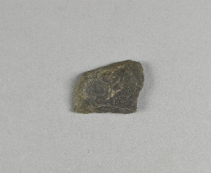 29-95-84