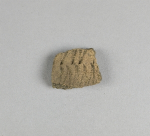 52-12-50