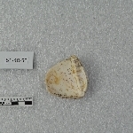 785416