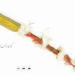 785491