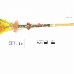 785494