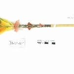 785495