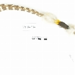 785501