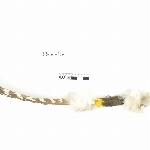 785502