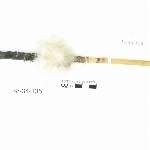 785504