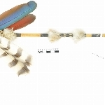 785507