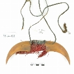 785513