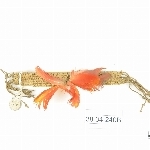 785521