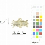 785576