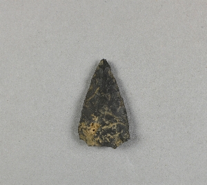 29-95-104