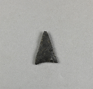 41-16-36