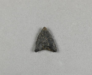 41-16-37