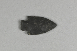 41-16-220