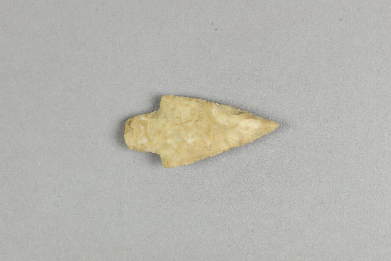 786554