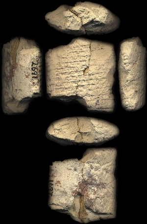 CBS1697