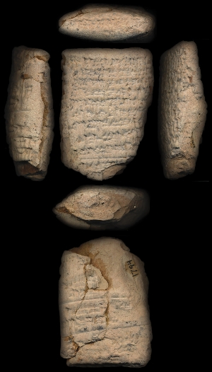CBS1794