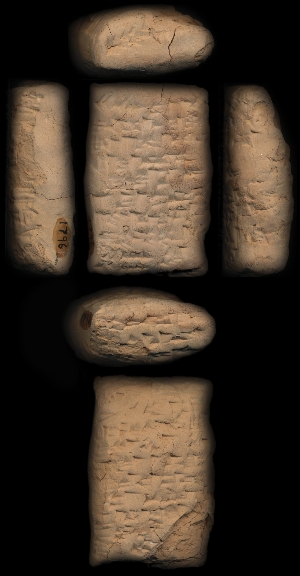 CBS1796