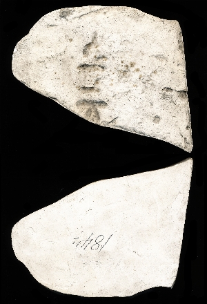 CBS1844